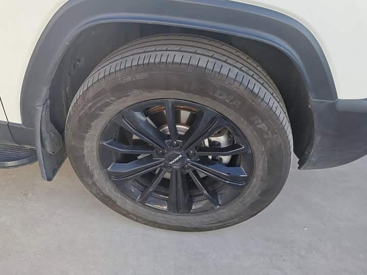 Haval Raptor Hybrid, 2024 — фото 6 из 9
