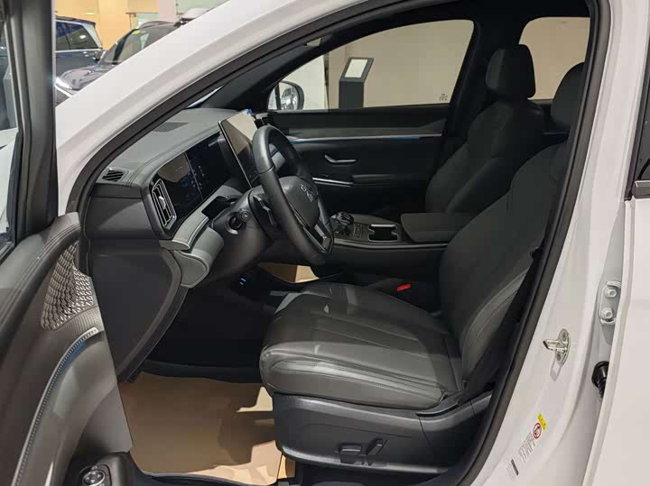 BYD Song Pro Hybrid, 2024 — фото 5 из 9