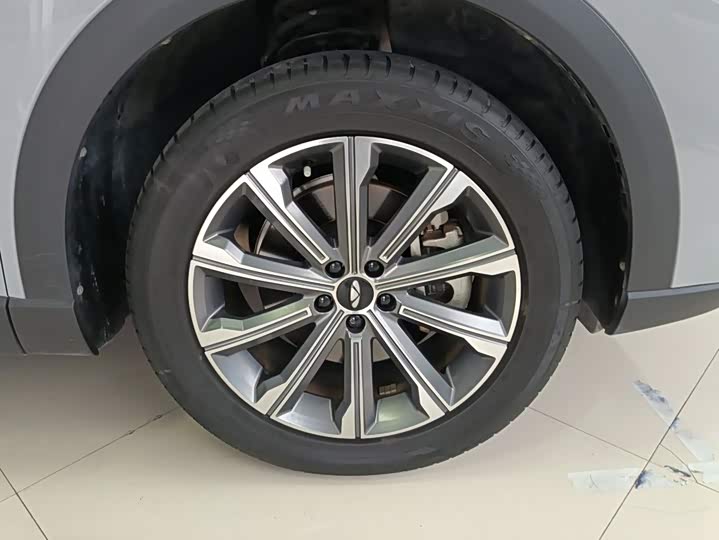 Chery Fulwin T9, 2024 — фото 6 из 9