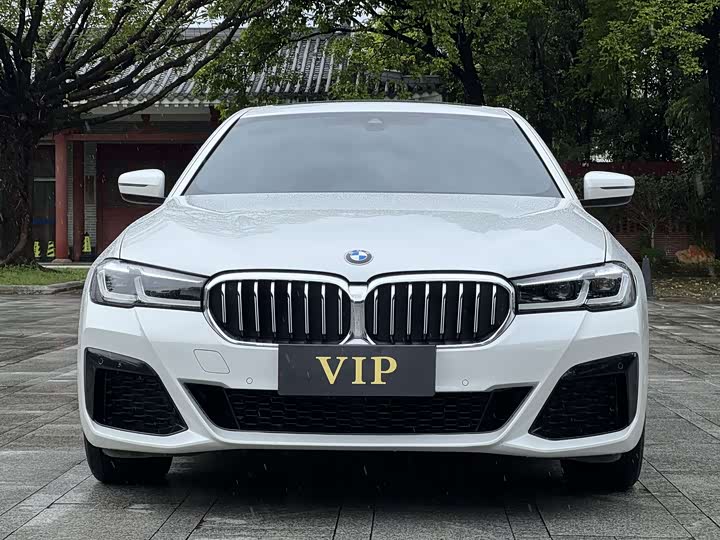 BMW 5 Series, 2022 — фото 2 из 9