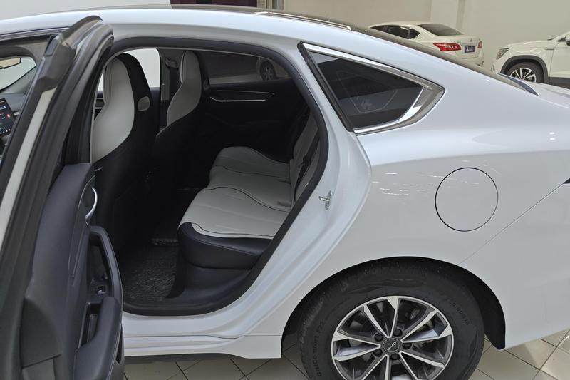BYD Destroyer 05, 2024 — фото 11 из 12