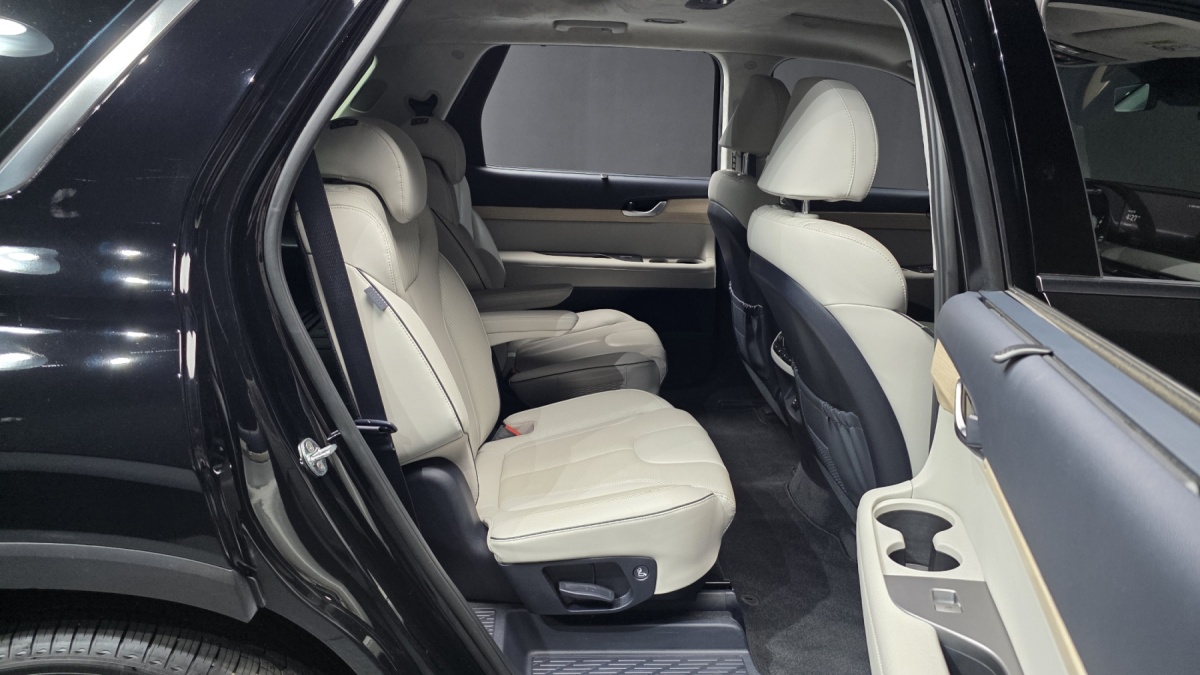 Hyundai Palisade, 2022 — фото 11 из 12