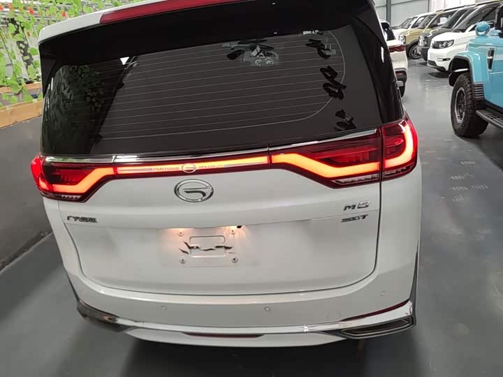 GAC Trumpchi M8, 2024 — фото 6 из 9