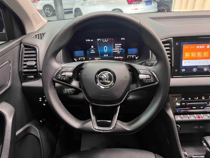 Skoda Karoq, 2023 — фото 10 из 12