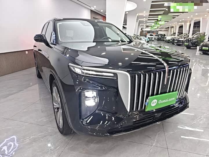 Hongqi E-HS9, 2023 — фото 4 из 9