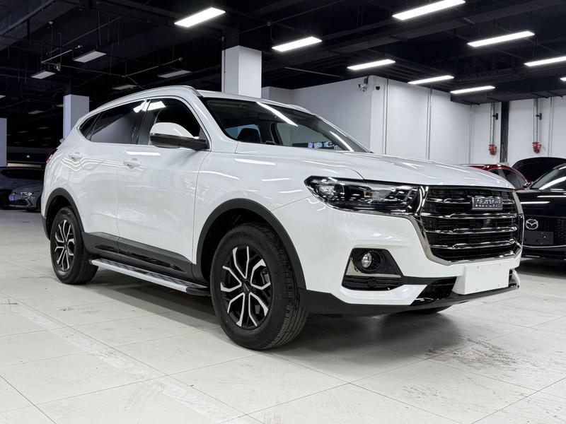 Haval H6, 2022 — фото 3 из 12