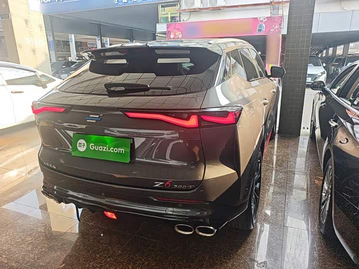 Changan Oshan Z6, 2023 — фото 5 из 9