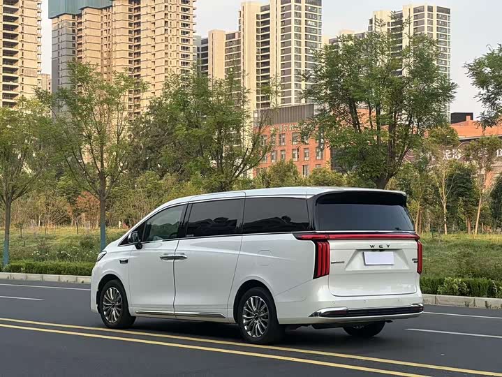 Wey 80 Hybrid, 2025 — фото 8 из 9