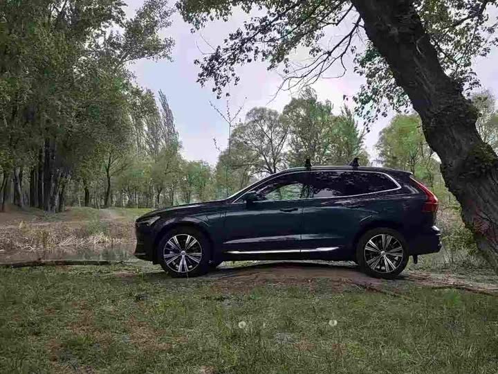 Volvo XC60 Hybrid, 2023 — фото 2 из 9