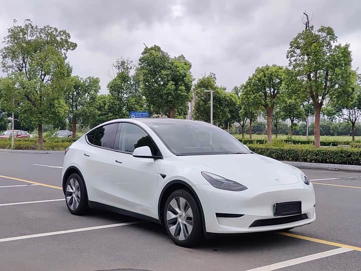 Tesla Model Y, 2022 — фото 3 из 9