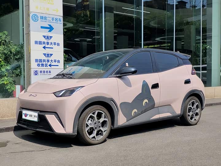 BYD Seagull, 2024 — купить в Нижнем Новгороде под ключ