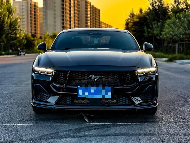Ford Mustang, 2024 — фото 2 из 8