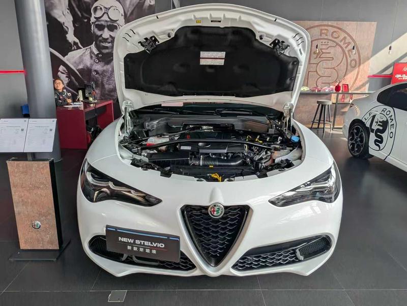 Alfa Romeo Stelvio, 2023 — фото 2 из 12