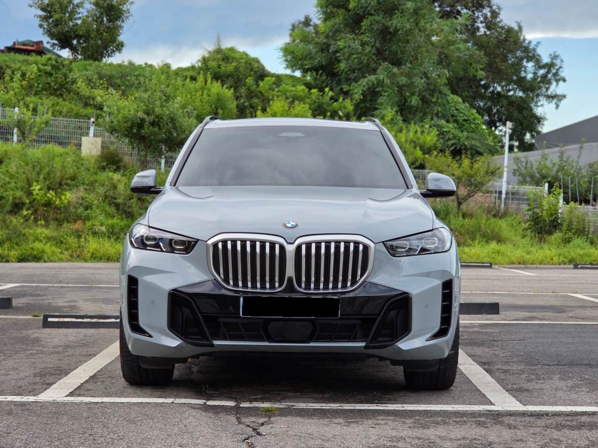 BMW X5, 2025 — фото 3 из 12