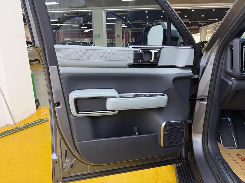 BYD FangChengBao Leopard 5, 2023 — фото 10 из 11