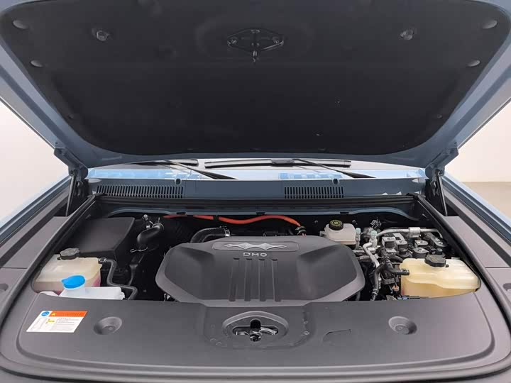 BYD FangChengBao Leopard 5, 2024 — фото 6 из 9