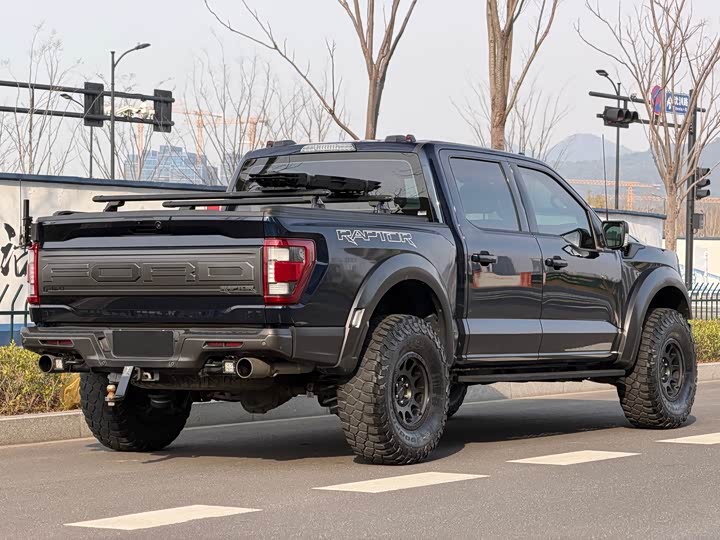 Ford F-150 Raptor, 2023 — фото 6 из 9