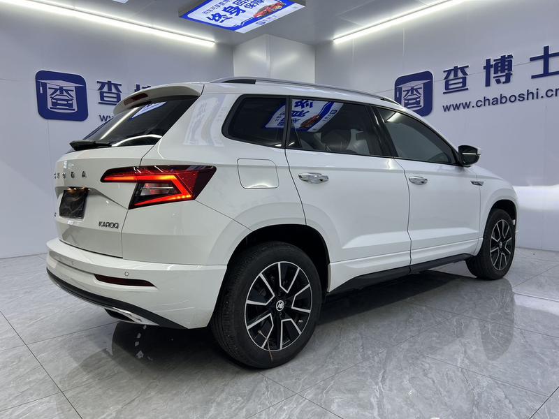 Skoda Karoq, 2024 — фото 6 из 12