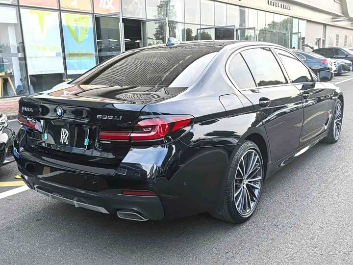 BMW 5 Series, 2022 — фото 9 из 9