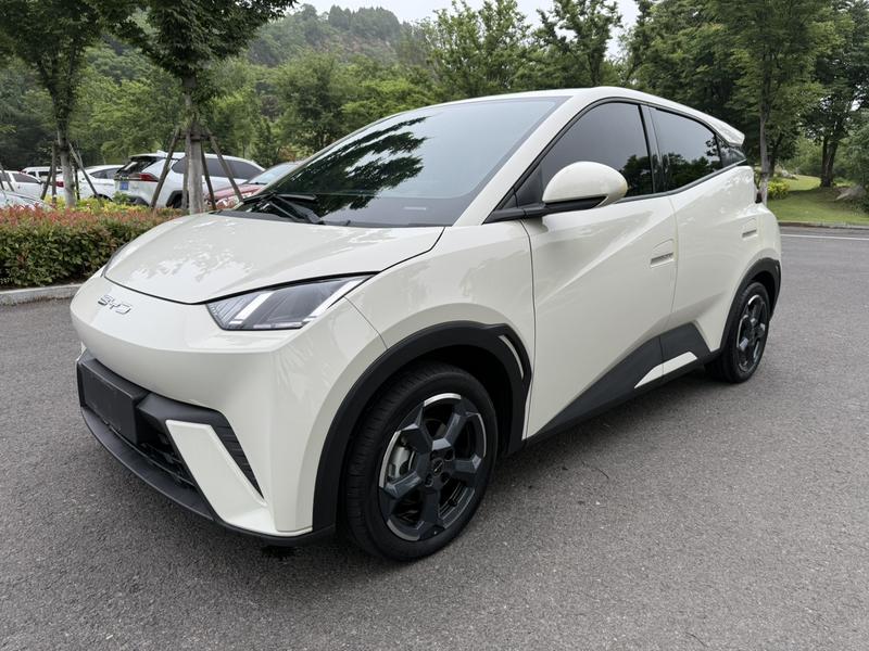 BYD Seagull, 2023 — купить в Белгороде под ключ