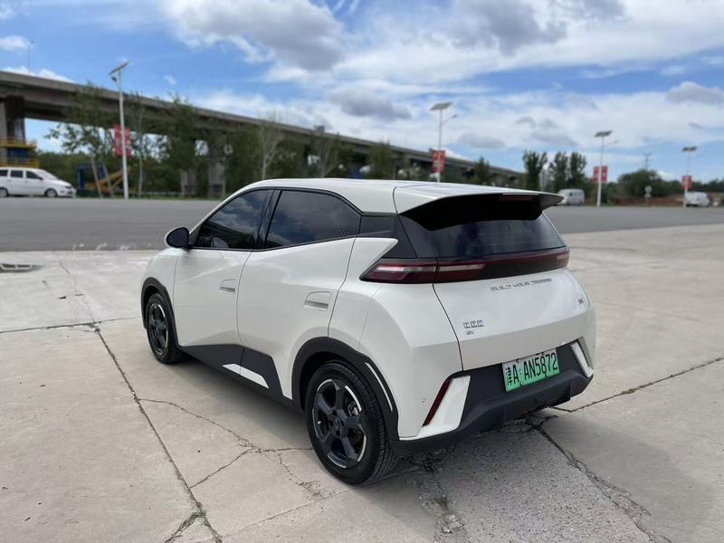 BYD Seagull, 2023 — фото 4 из 10