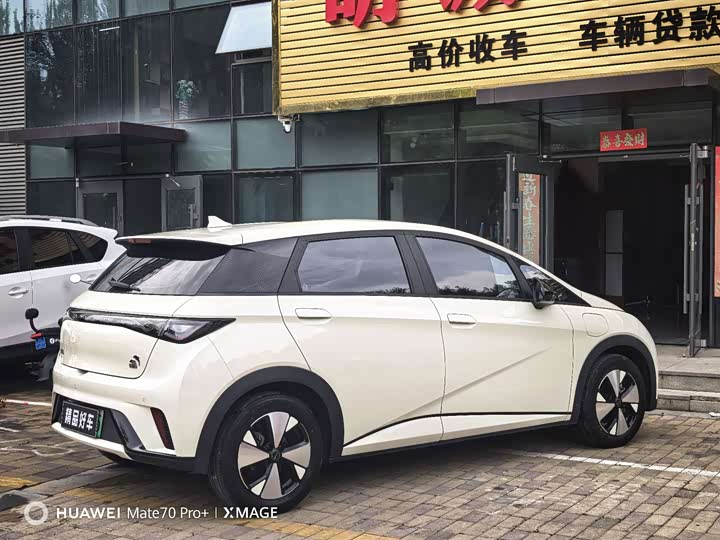 BYD Dolphin, 2023 — фото 7 из 9