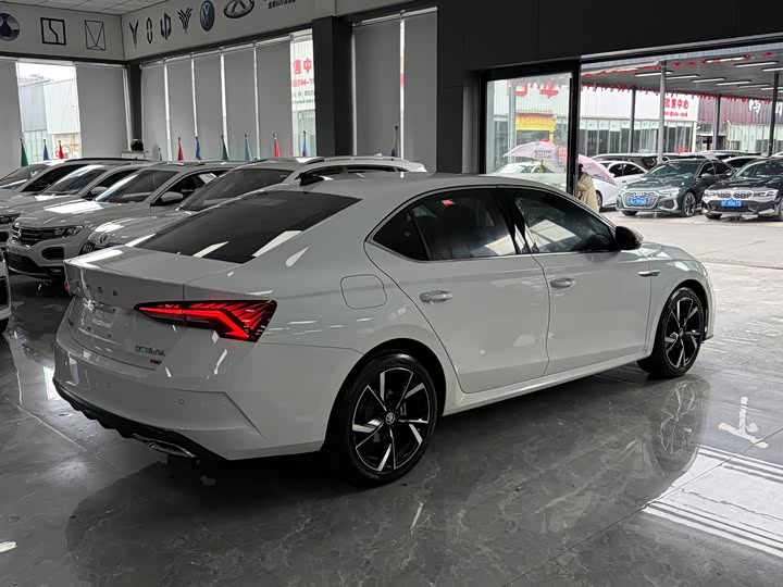 Skoda Octavia Pro, 2023 — фото 6 из 9