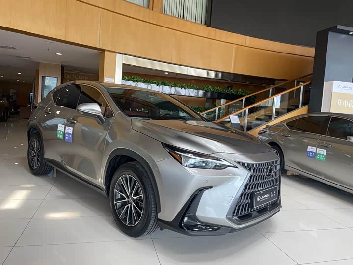 Lexus NX Hybrid, 2023 — фото 3 из 9