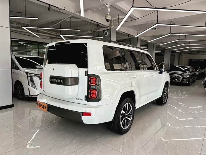 Haval H9, 2024 — фото 6 из 9