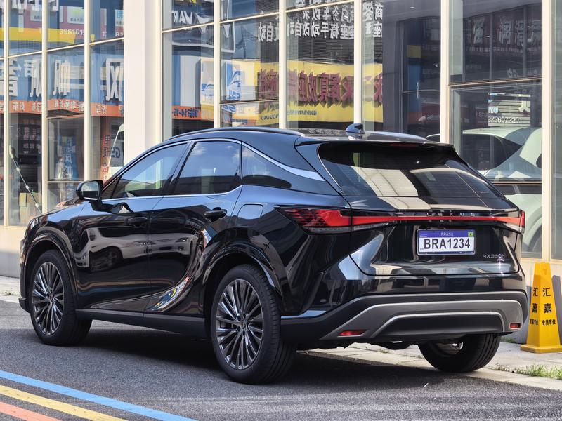 Lexus RX, 2024 — фото 3 из 12