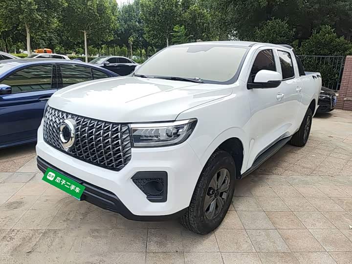 Great Wall Pao, 2024 — купить в Смоленске под ключ