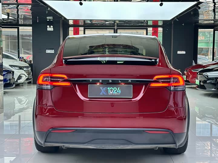 Tesla Model X, 2023 — фото 5 из 9