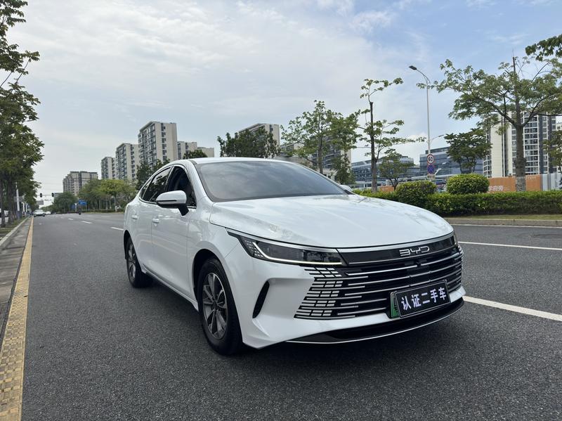 BYD Destroyer 05, 2024 — фото 3 из 12