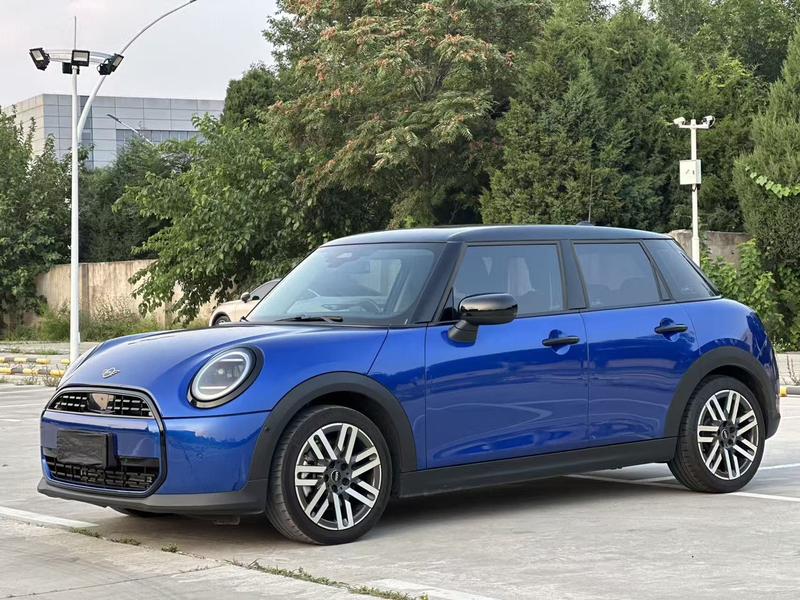 Mini Mini, 2025 — купить в Санкт-Петербурге под ключ