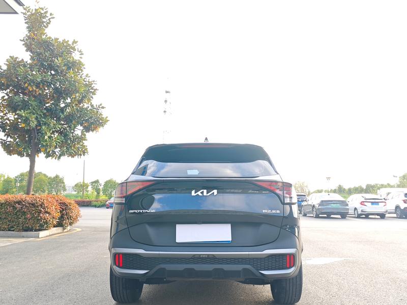 Kia Sportage, 2025 — фото 5 из 12