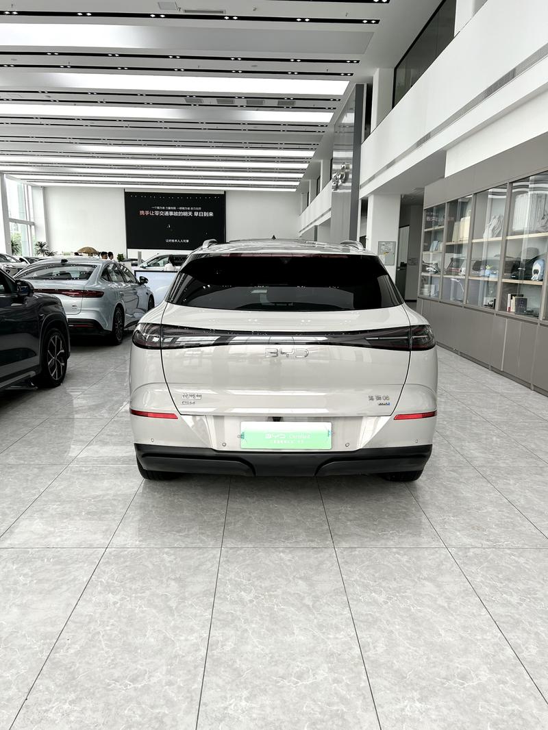 BYD Sea Lion 06 Hybrid/EV, 2025 — фото 4 из 9
