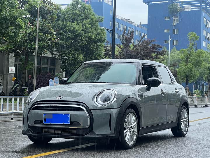 Mini Mini, 2021 — купить в Санкт-Петербурге под ключ