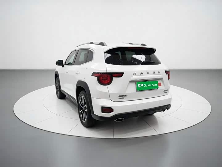 Haval H-Dog Hybrid, 2023 — фото 4 из 9