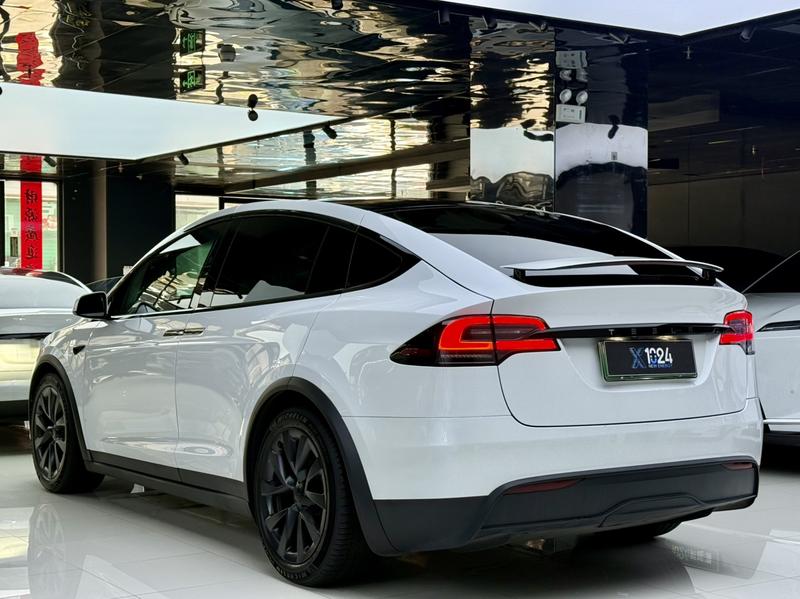 Tesla Model X, 2023 — фото 4 из 12