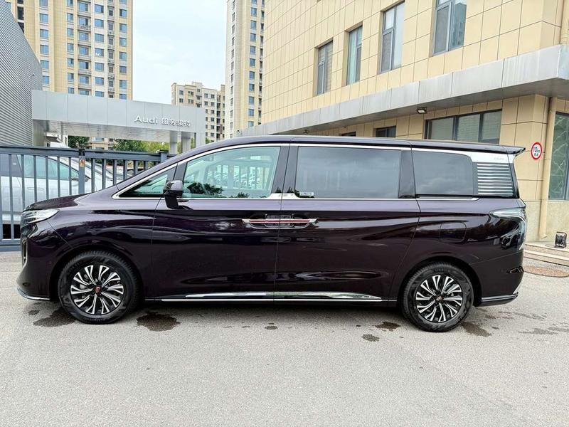 Hongqi HQ9 Hybrid, 2023 — фото 3 из 10