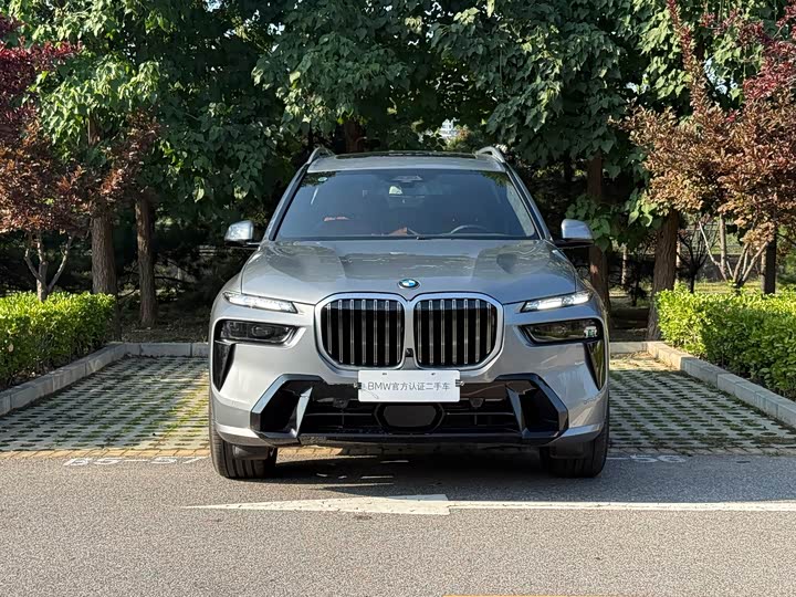 BMW X7, 2025 — фото 5 из 9