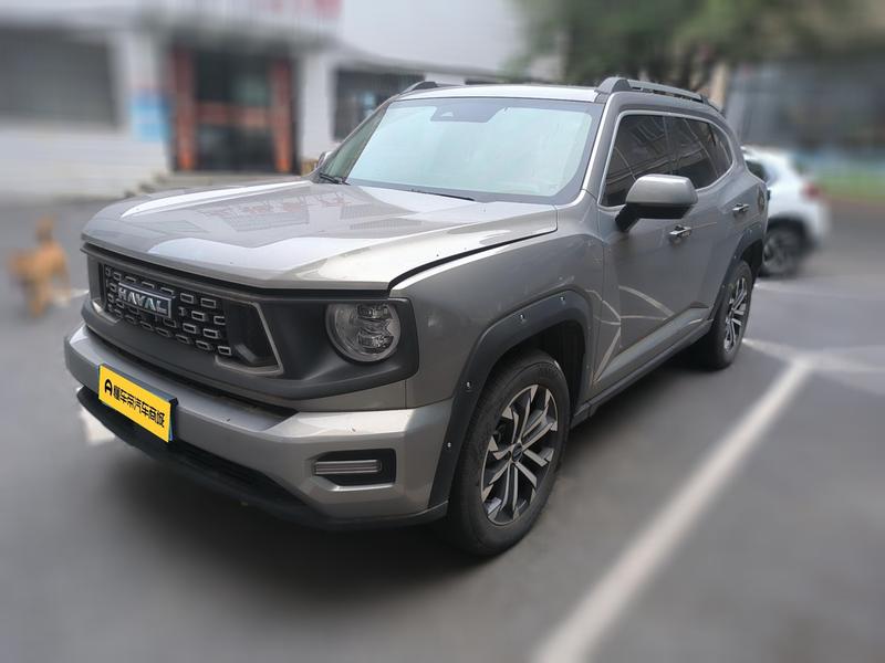 Haval H-Dog, 2023 — купить в Рязани под ключ