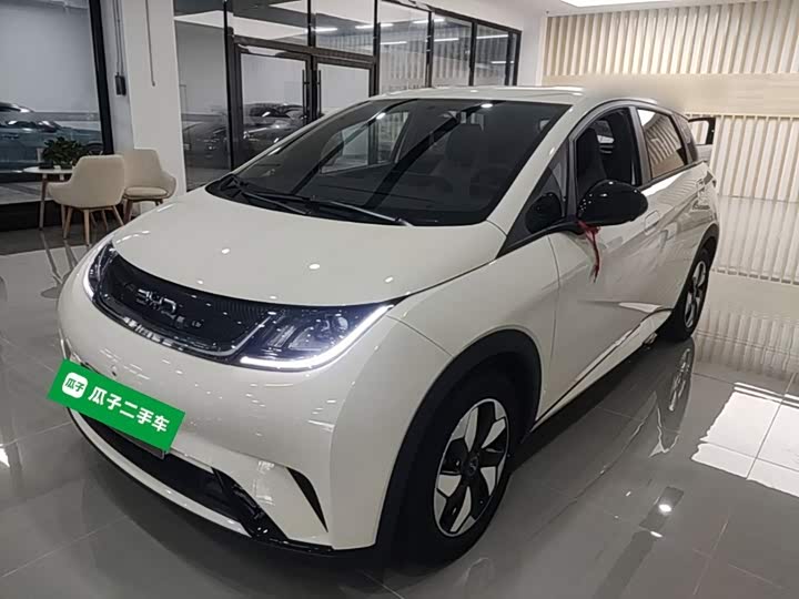 BYD Dolphin, 2026 — фото 2 из 9