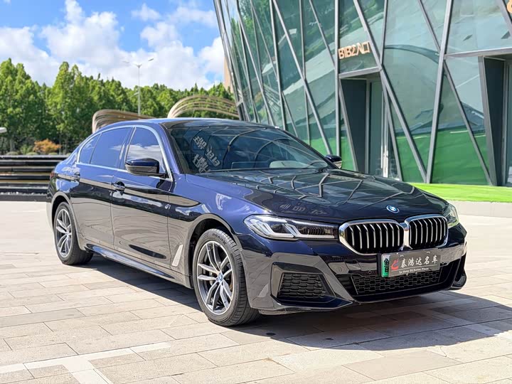 BMW 5 Series Hybrid, 2023 — фото 3 из 9