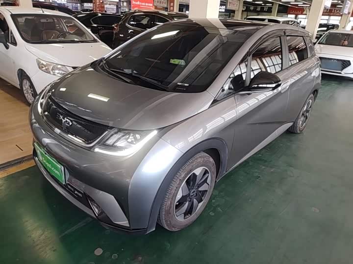 BYD Dolphin, 2024 — купить в Саранске под ключ