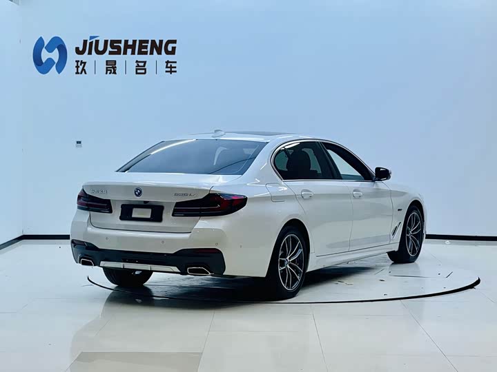 BMW 5 Series Hybrid, 2021 — фото 6 из 9