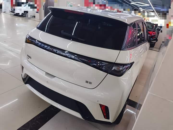 BYD Dolphin, 2024 — фото 7 из 9
