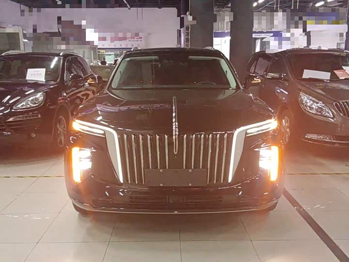 Hongqi E-HS9, 2025 — фото 3 из 9