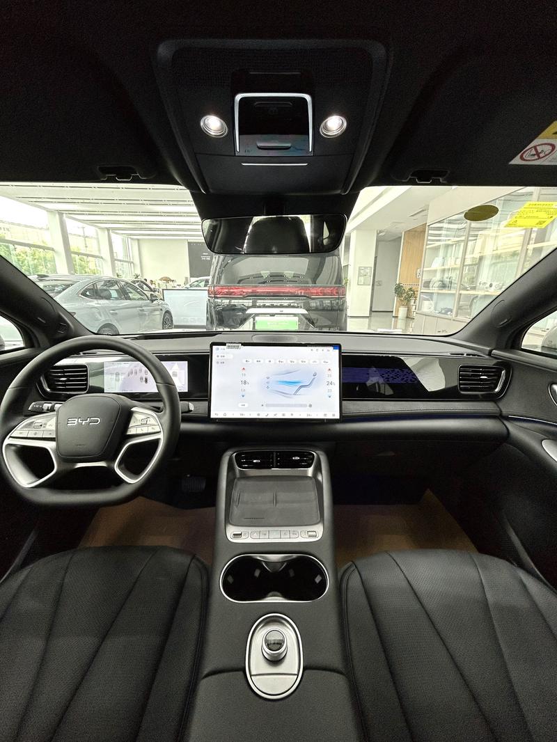BYD Sea Lion 06 Hybrid/EV, 2025 — фото 6 из 9