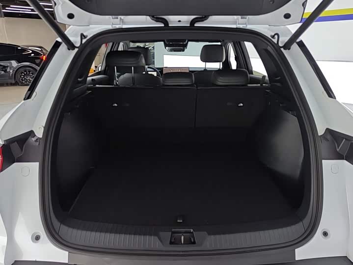 BYD Song Pro Hybrid, 2026 — фото 4 из 9